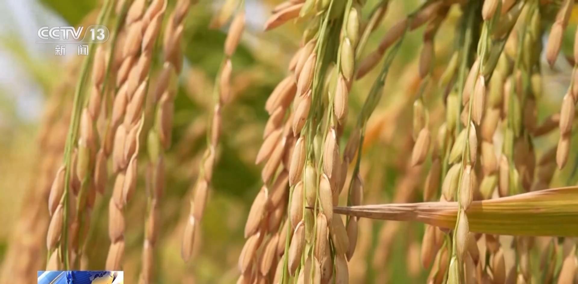 涓涓细流浩瀚江河原声,涓涓细流浩瀚江河解释