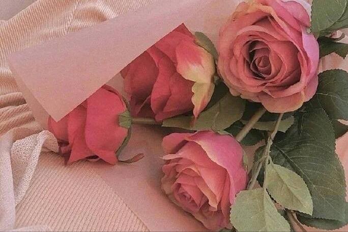 龟仙的故事,龟仙会看什么