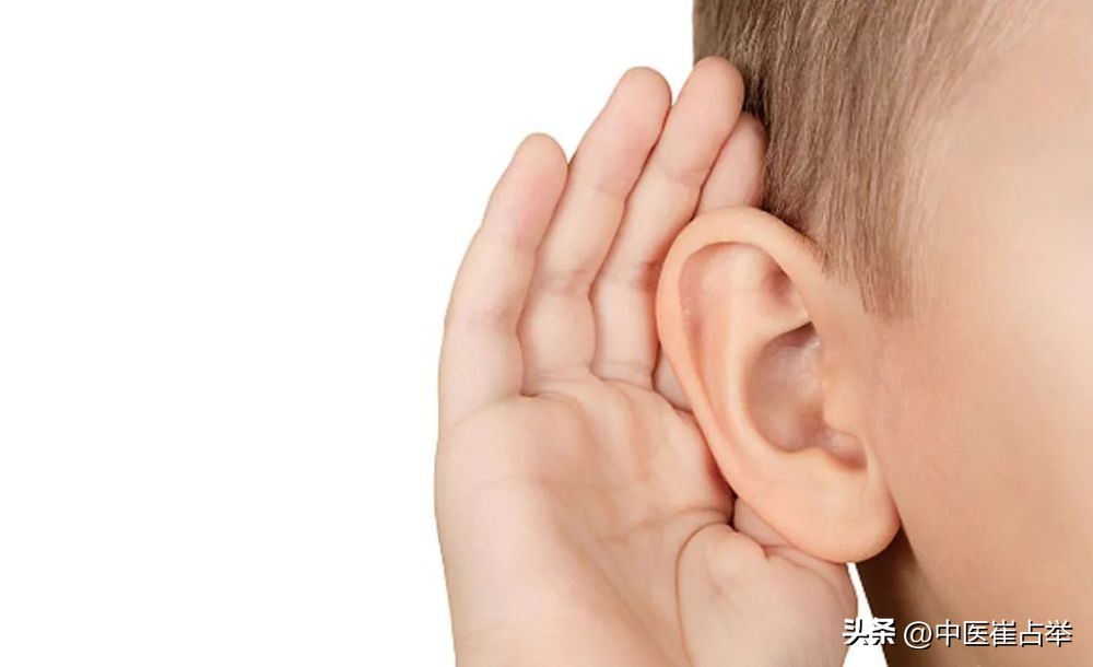 肾不藏精肾气不足怎么调理,肾精亏虚无力推动什么循环