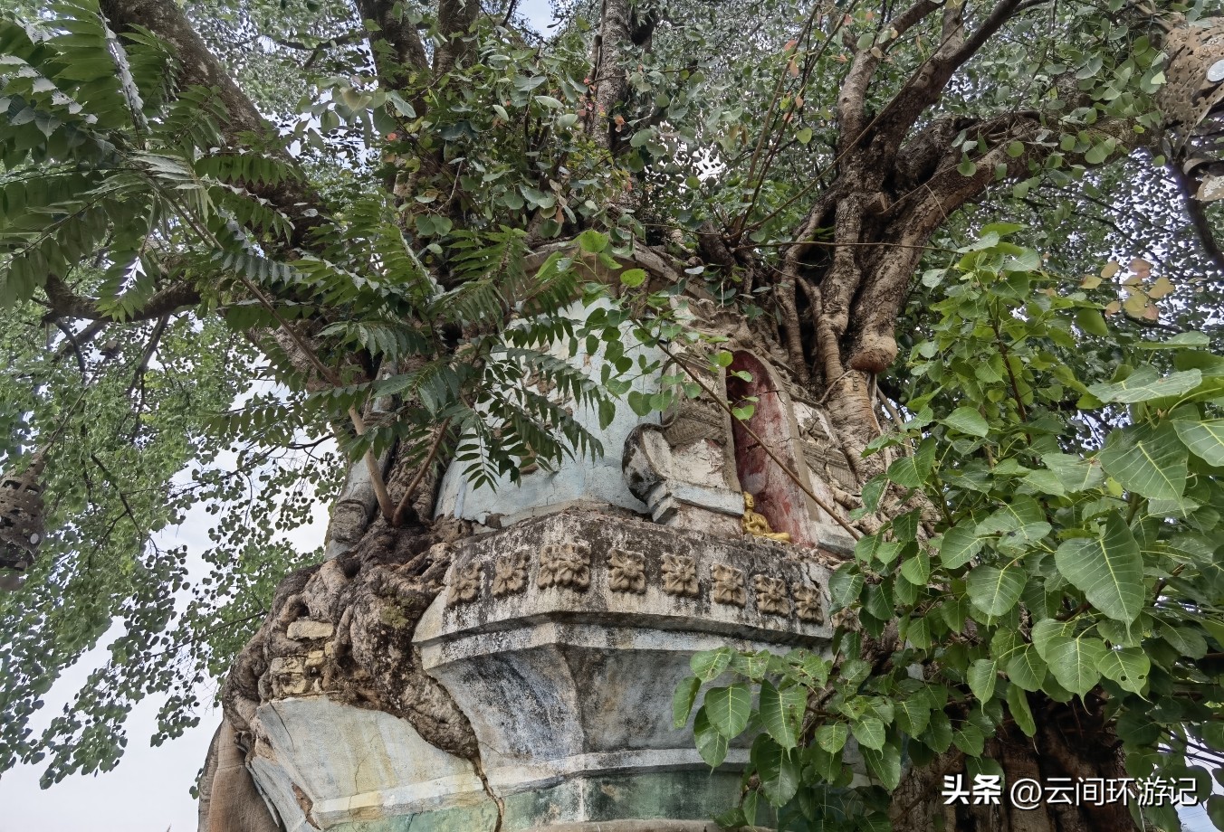 缇庝附寰峰畯娴极涔嬫梾,婕父寰峰畯