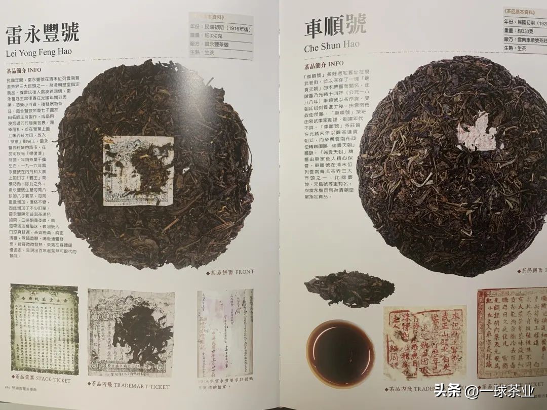 同庆号普洱茶黄印和红印的区别,普洱茶红印黄印绿印什么区别