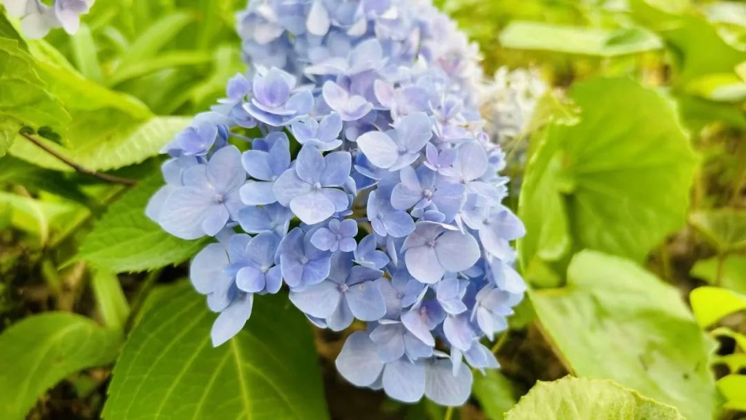 一个男人爱不爱你从细节看得出来,从吃饭看出男人对你爱不爱的表现