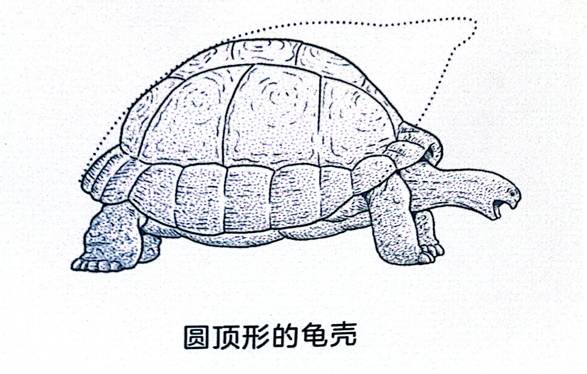 如何启发孩子观察大自然,培养孩子自然观察