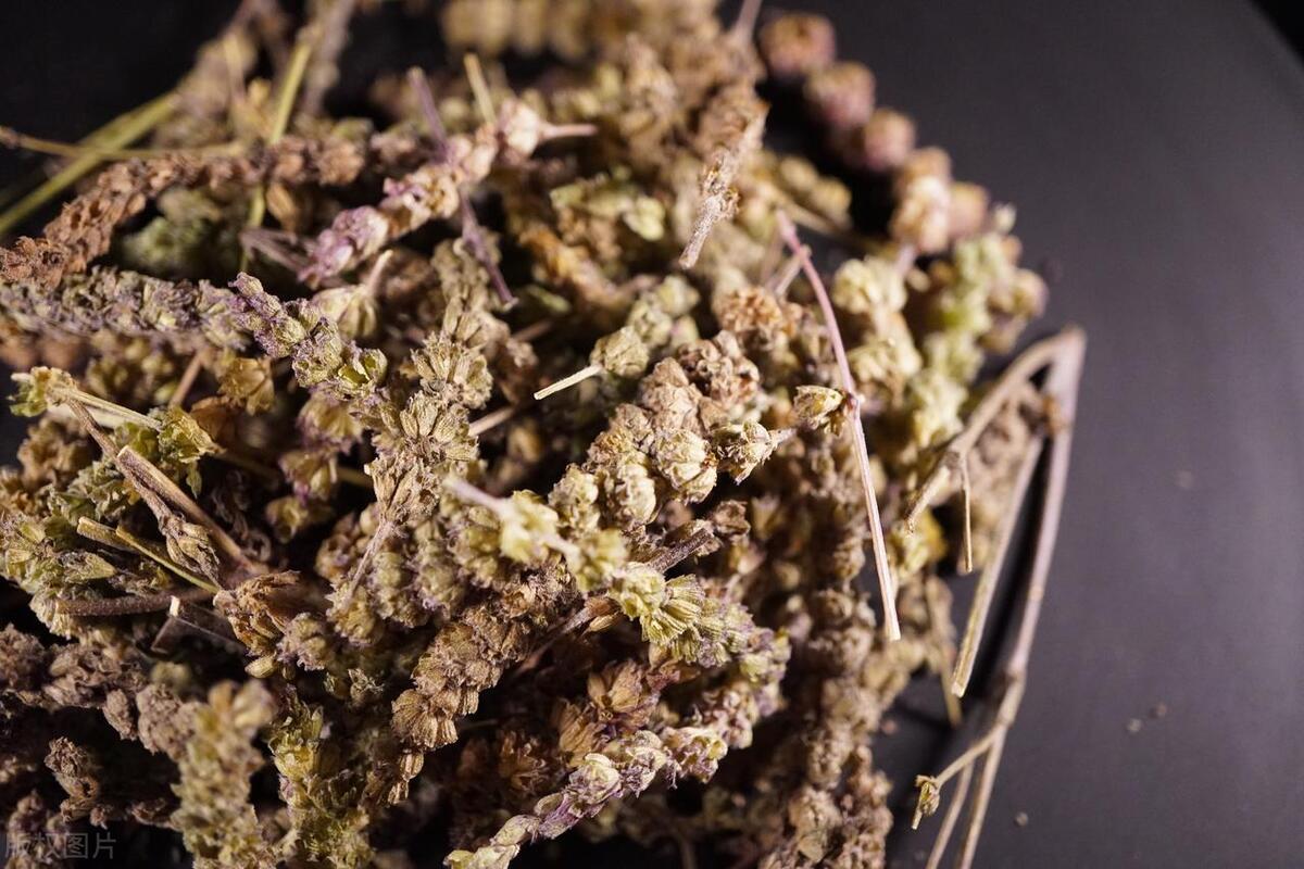 中医治疗湿疹荨麻疹皮炎,荨麻疹湿疹止痒的中药材