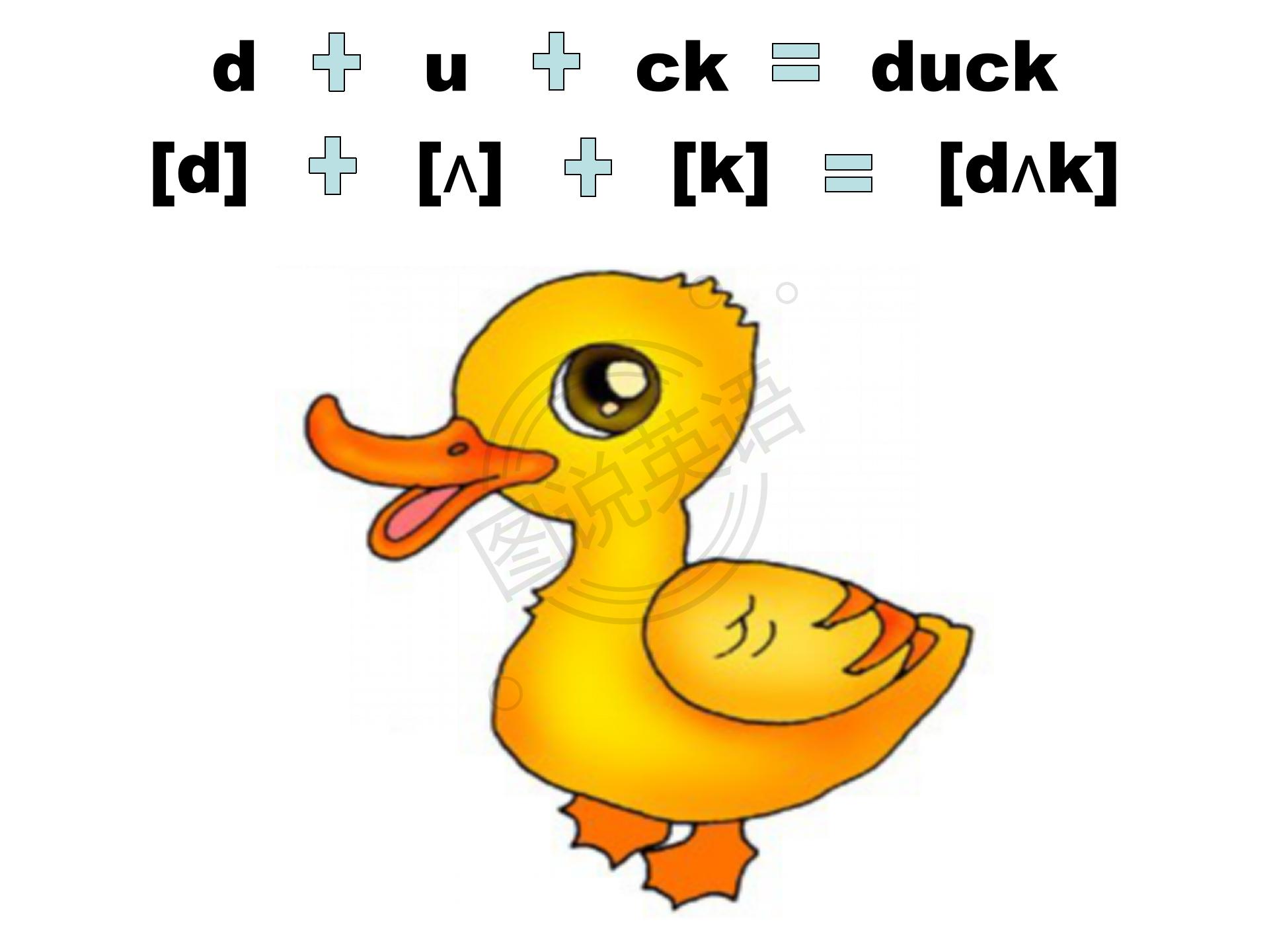 如何快速默写48个国际音标,音标背诵最快的方法