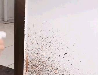 瓷砖缝发霉变黑怎么去除,瓷砖缝发霉清洗用什么擦