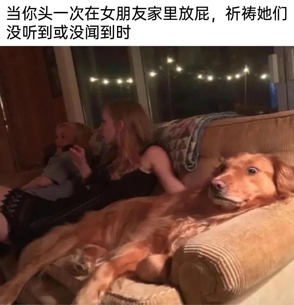 meme搞笑图,月初月末搞笑图片