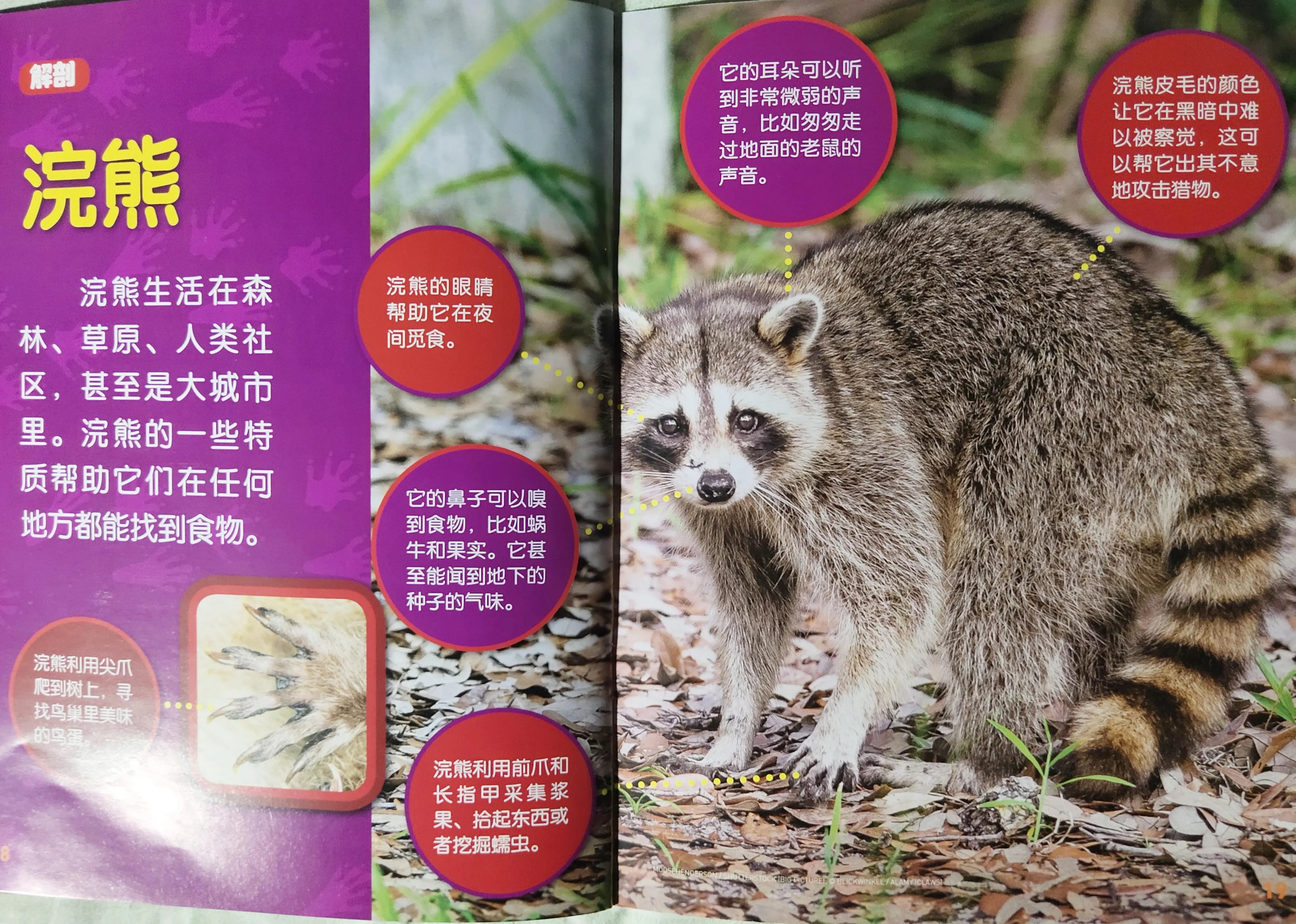 环球少年地理少年版适合多大孩子,环球少年地理阅读收获