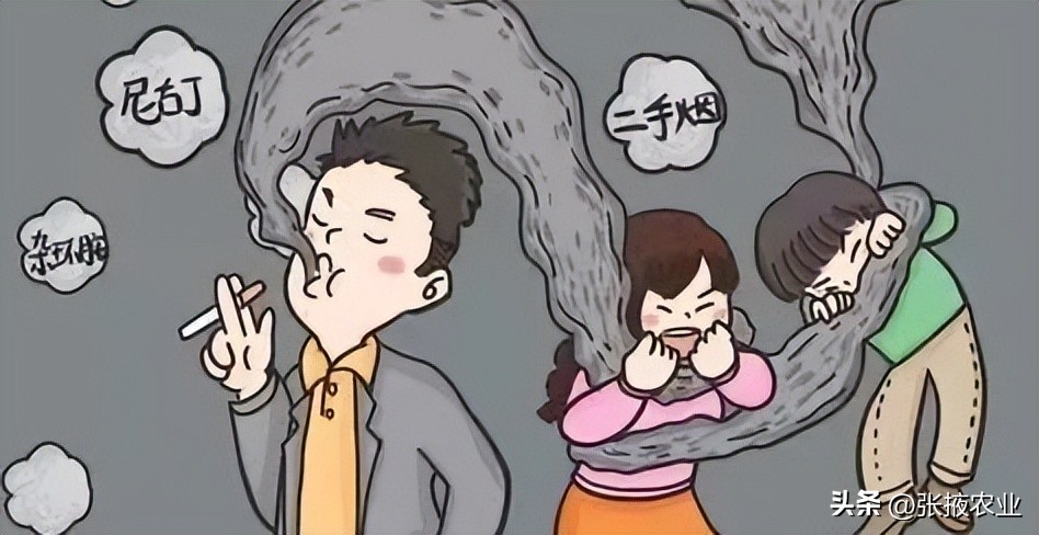 世界无烟日医生科普,善南街道无烟日科普宣传