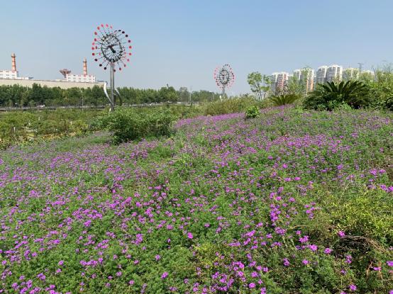 提升活力的景观设计,智慧体验景观设计