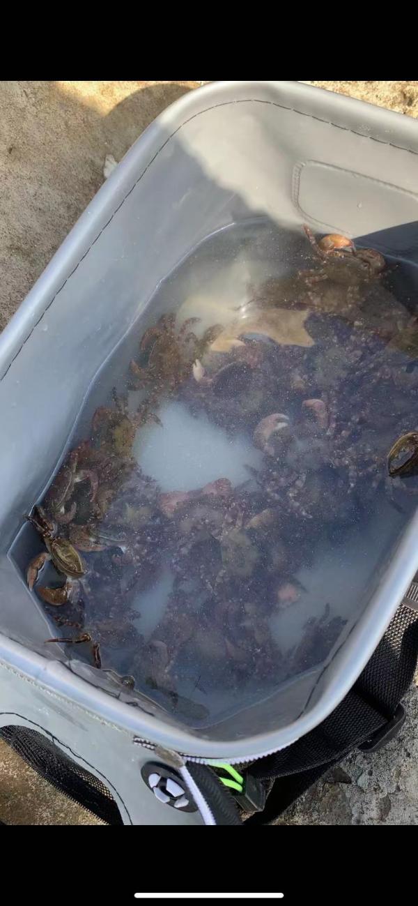 渤海海钓推荐,海钓体验游玩攻略