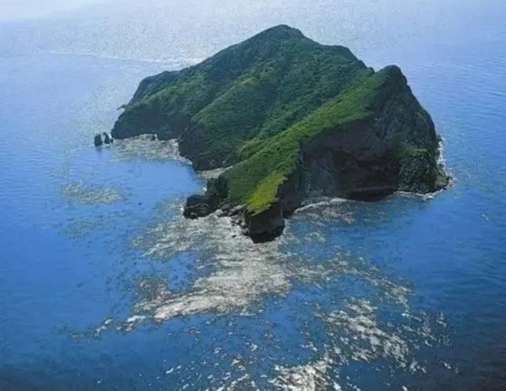 大连蛇岛上的“守蛇人”，守着2万条毒蛇，管蛇吃喝，为蛇涂药水