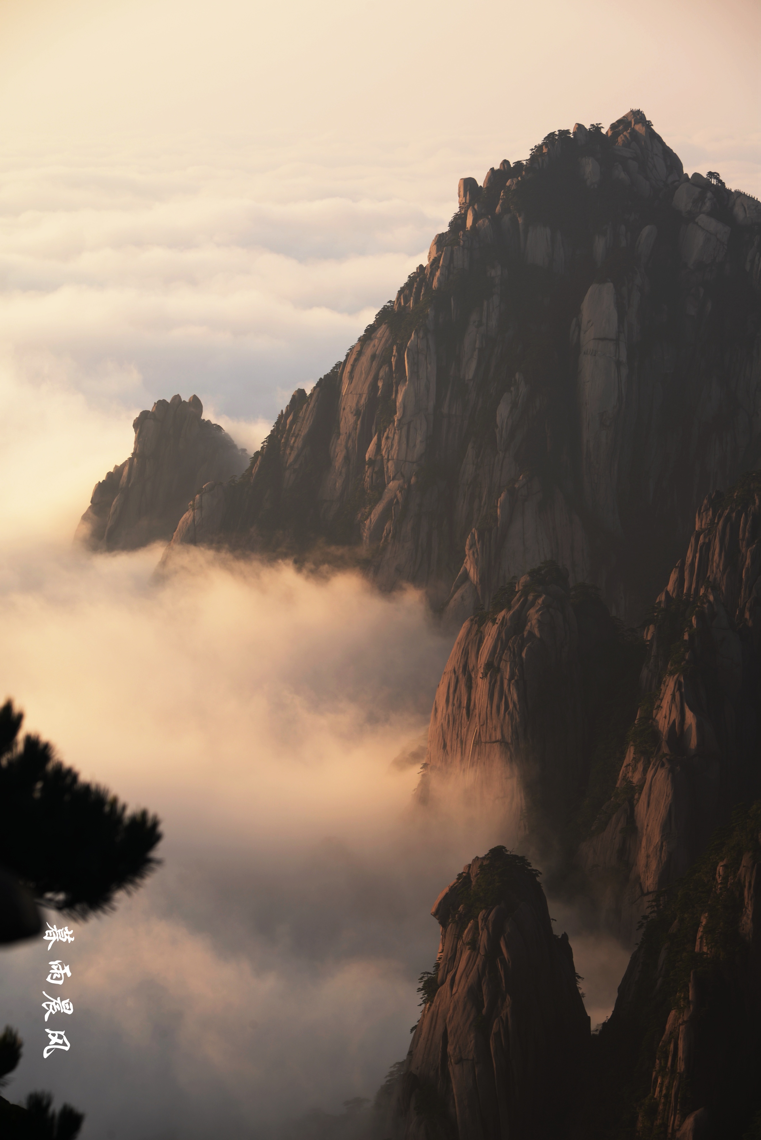 2014年黄山游,2014黄山银毫