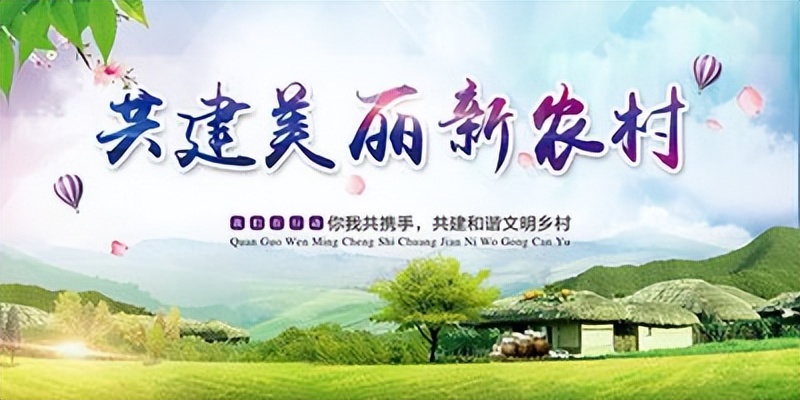 两会对农民的六条建议,村干部谈农村工作的意见和建议