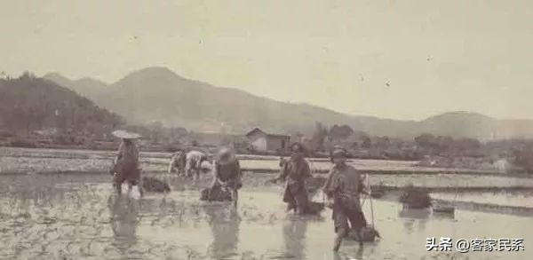 福建客家和广东客家,客家人为什么分布那么广