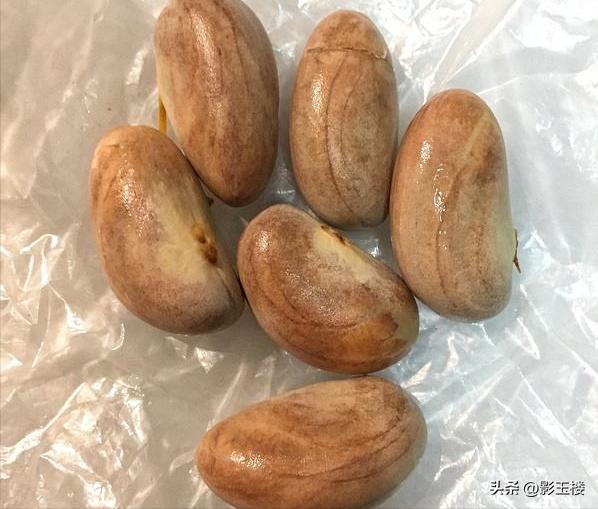 菠萝蜜种子效用,菠萝蜜种子煮熟的功效