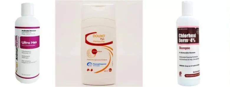 闅忔荡鑰屽畨缁甸槼,闅忛亣鑰屽畨