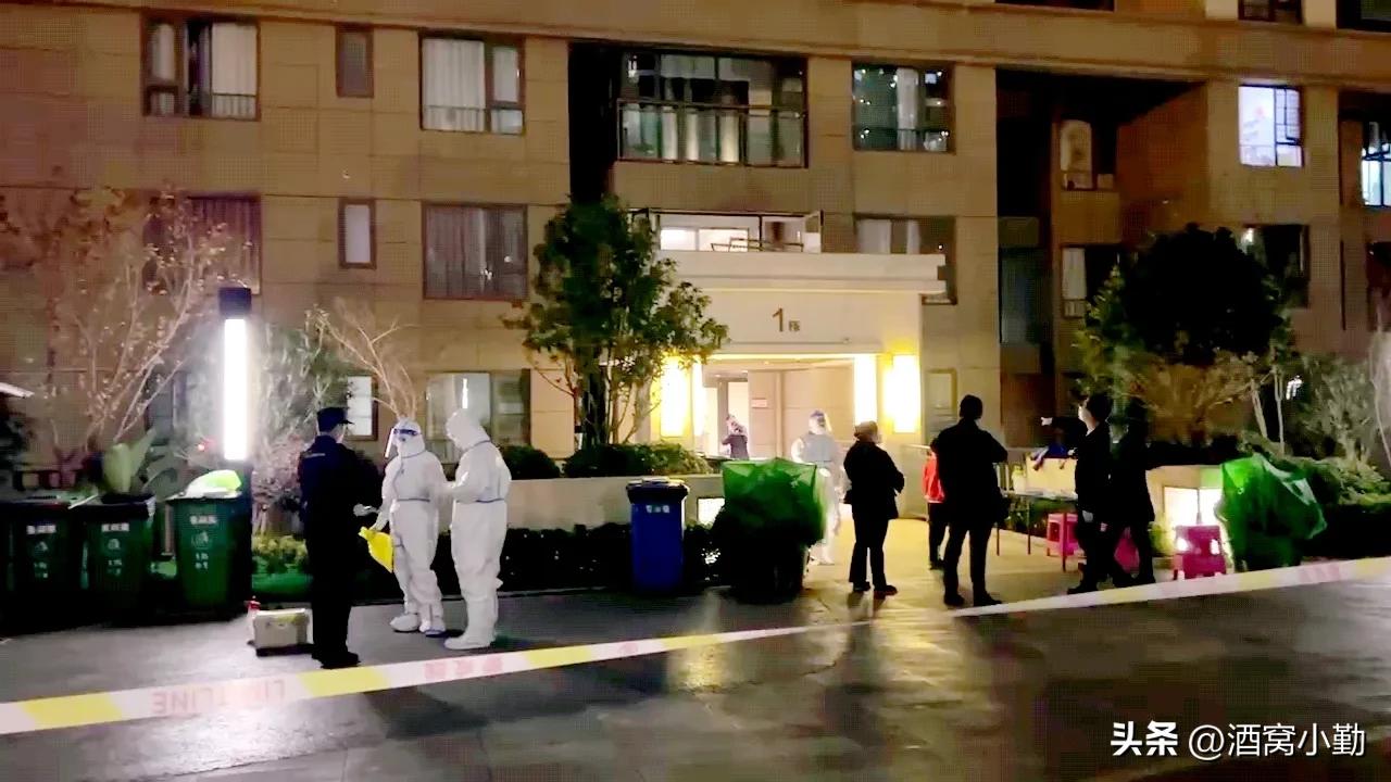 被封控在家的第一天，我拥有难得的一小段躺平消闲时刻