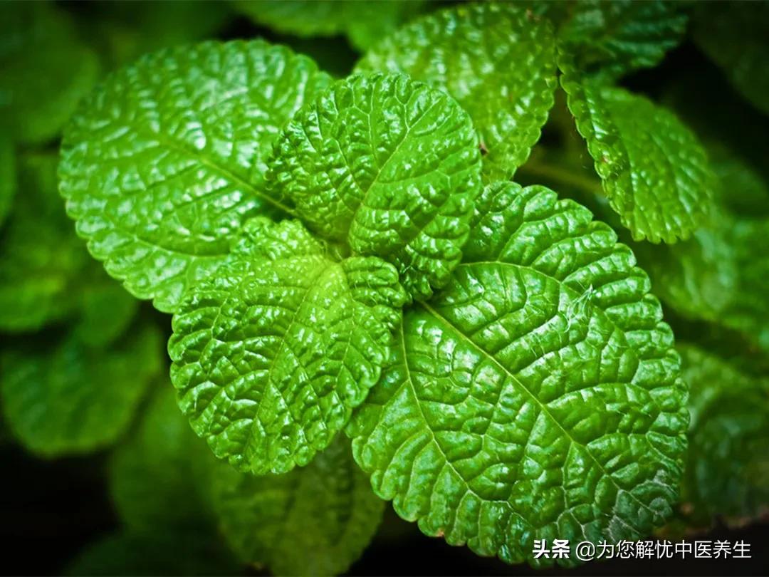 抓住主症，高效治疗