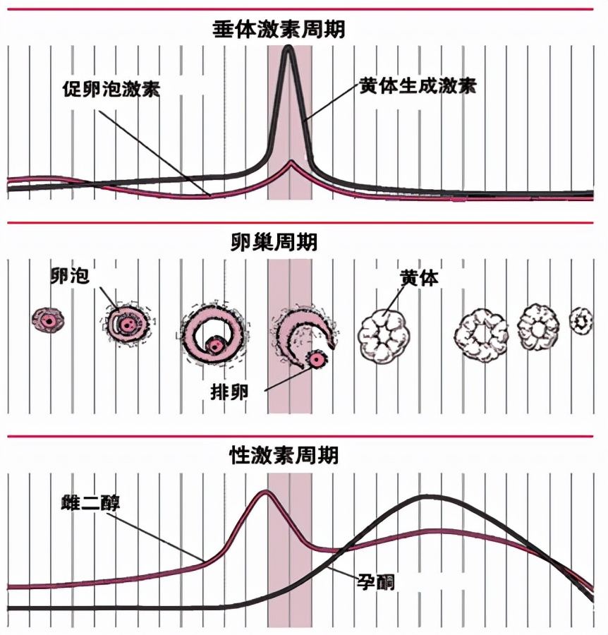 怕她不来又怕她乱来的文案,怕她不来又怕她乱来出处