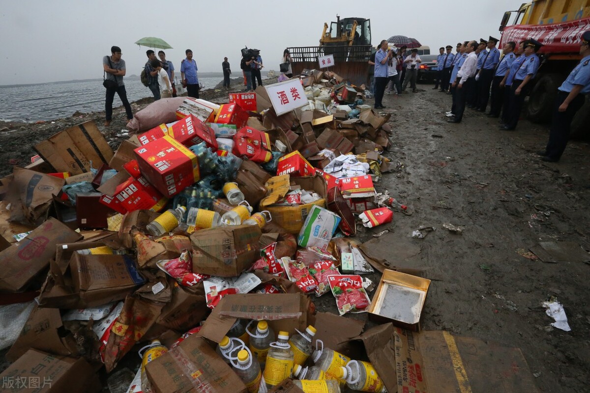 企业仿造知识产权产品判赔案例,企业对山寨品牌的预防