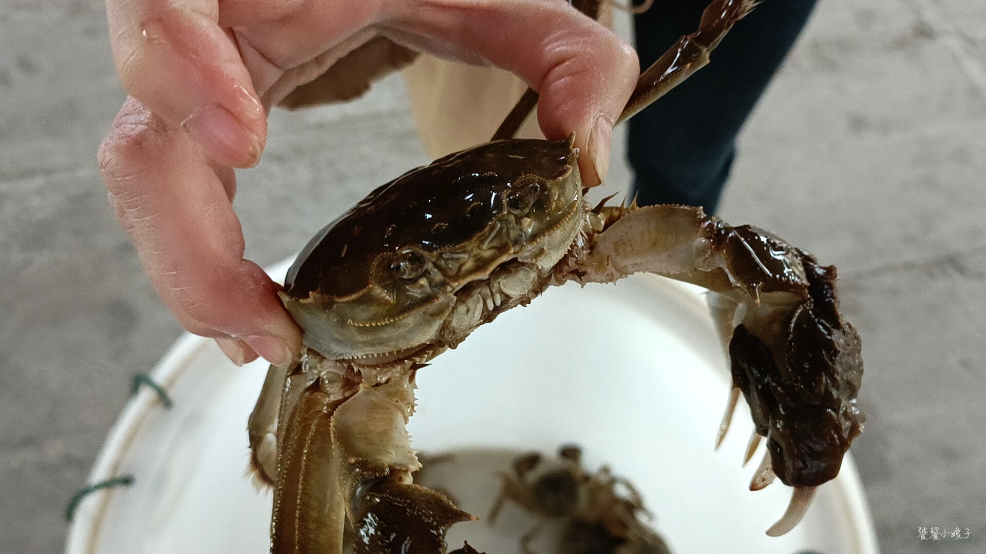 阳澄湖大闸蟹自驾地点推荐,去阳澄湖吃正宗大闸蟹攻略来了