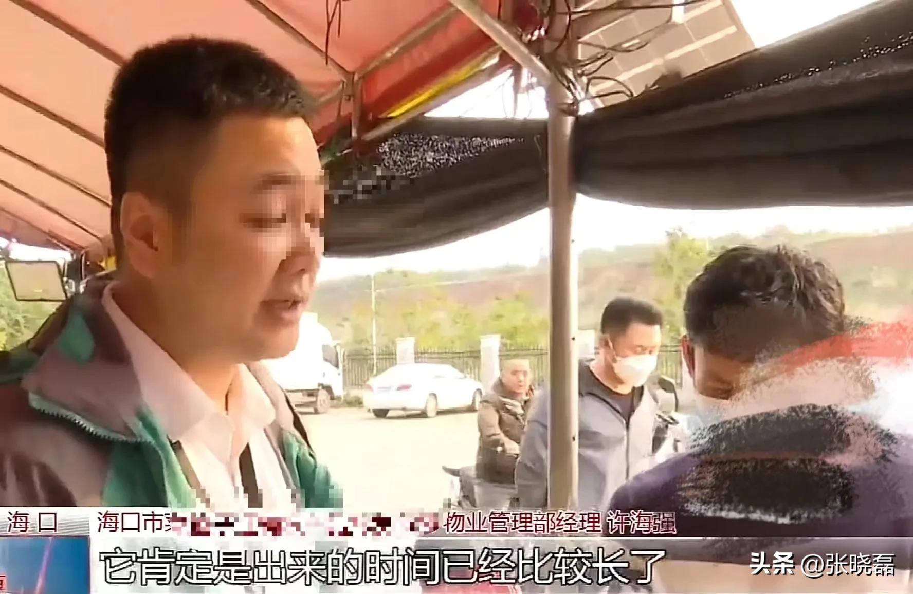 司机从甘肃拉一车土豆到海南,收货方拒收，也不付运费！司机：我不能白拉啊？收货方：没收货，凭啥付运费？