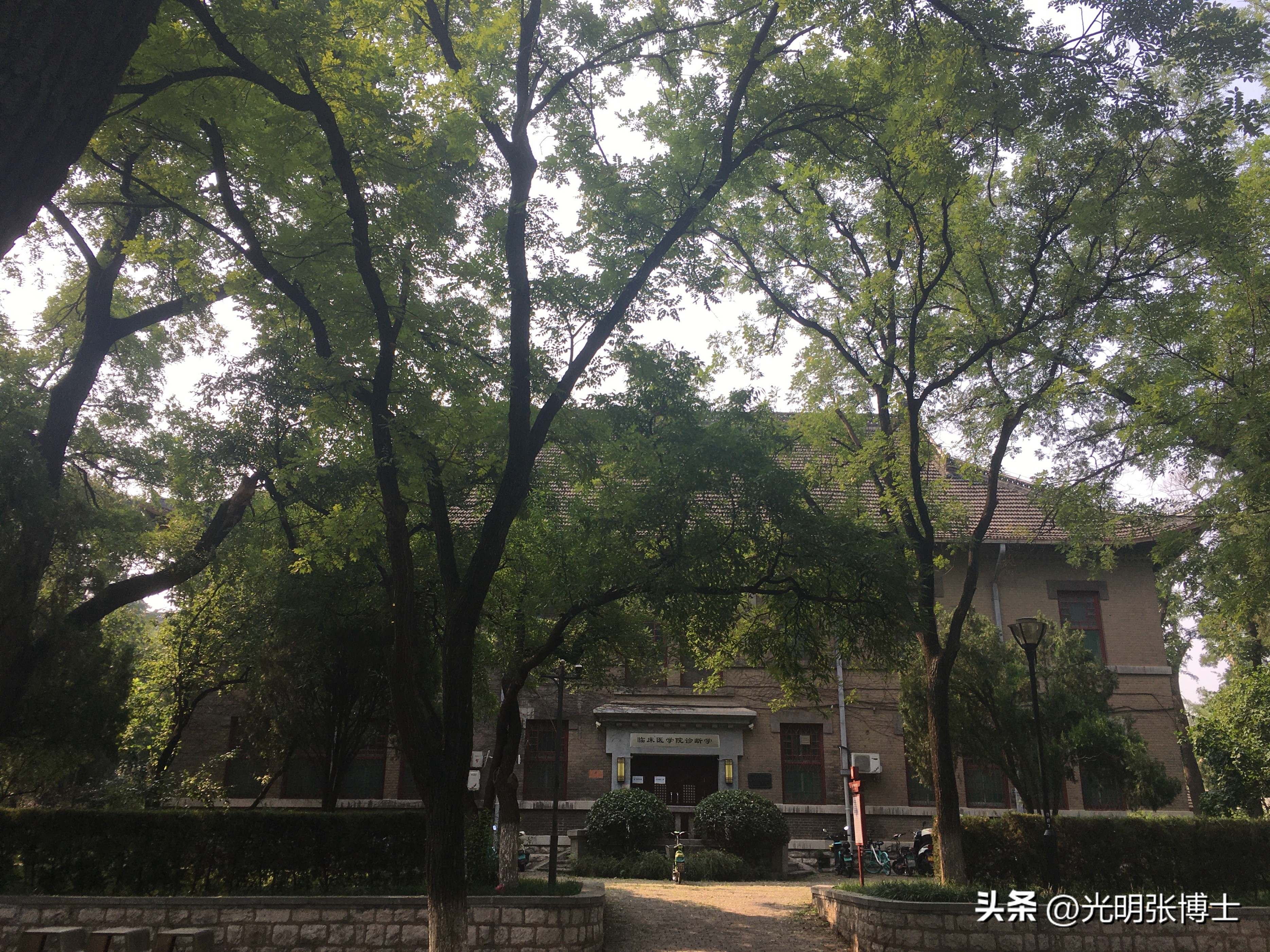 山东大学趵突泉校区风景图片,山东大学趵突泉校区宿舍真实照片