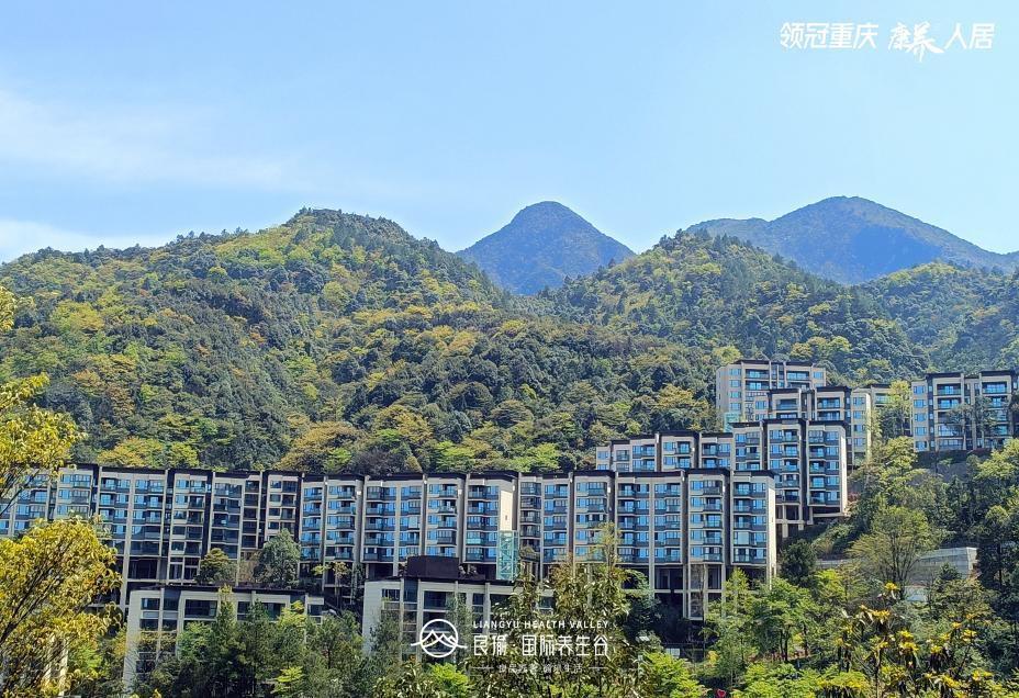 良瑜国际养生谷合院,良瑜国际养生谷别墅户型