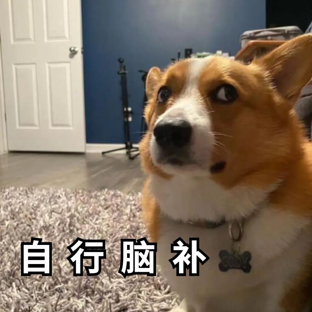 狗子为啥越喂越瘦,狗子越来越瘦但是很能吃