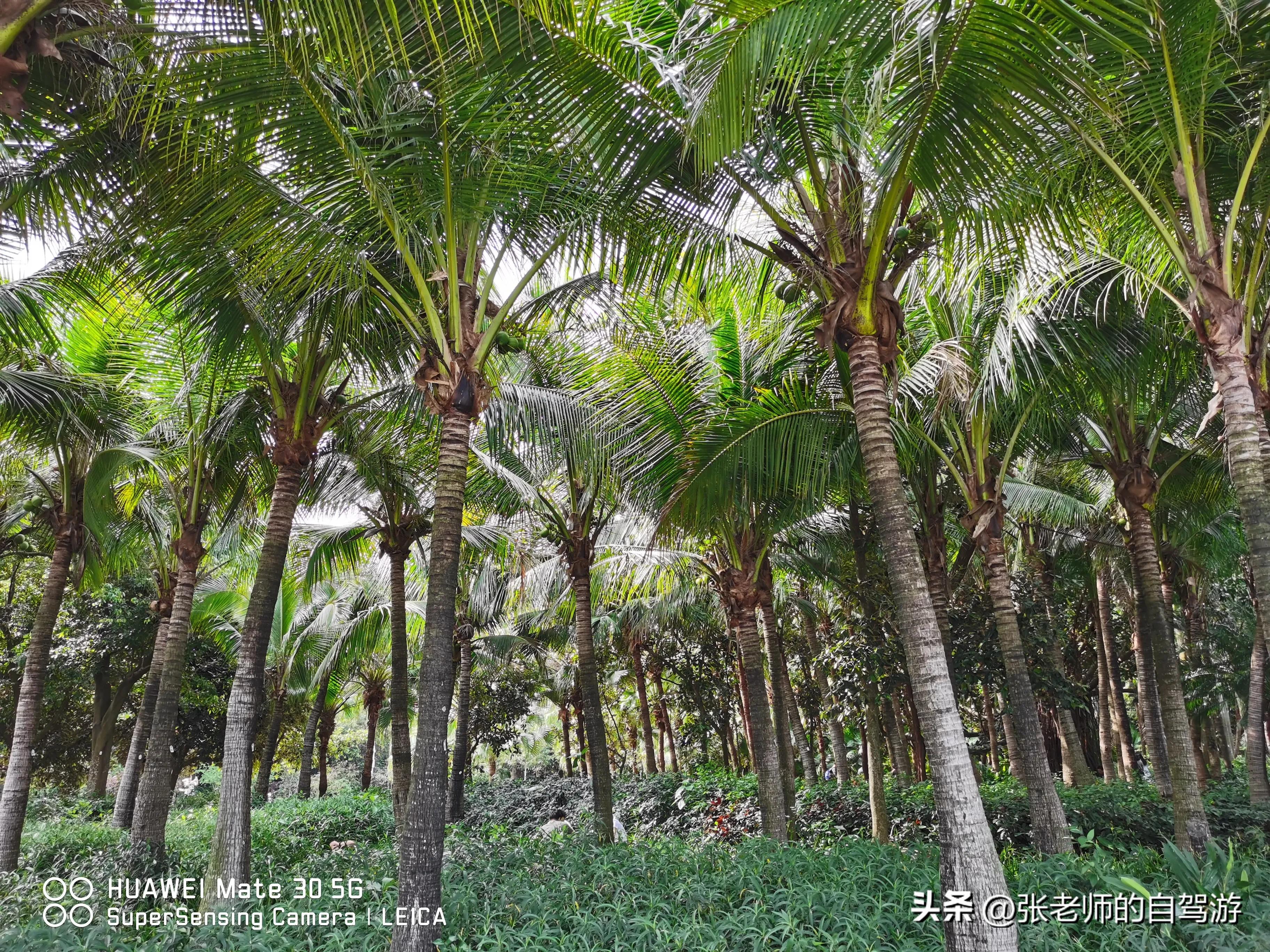 自驾环游中国最佳路线图费用,盐城到海南自驾旅行攻略