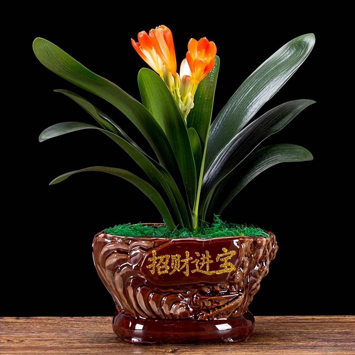 18种净化空气适宜家中养殖的花,能净化空气的家养花