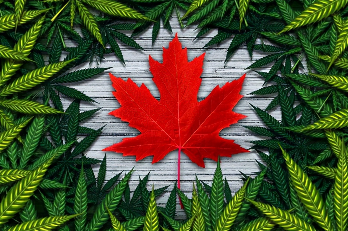 加拿大抗疫措施升级,加拿大安省防疫将出新规