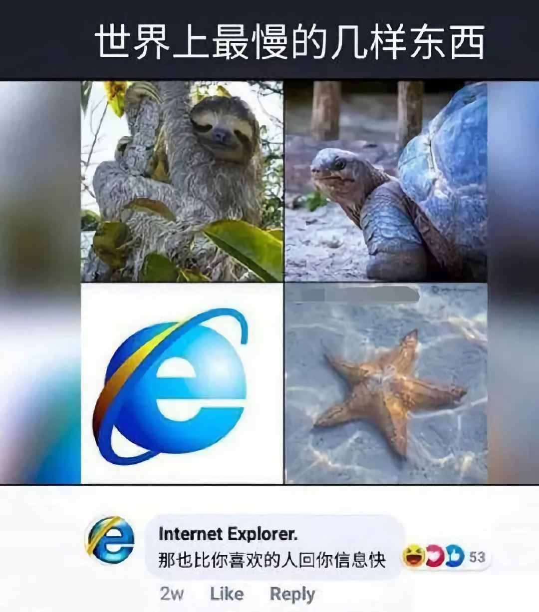 ie浏览器怎么突然网站登录不了,ie浏览器将全面停止维护怎么解决