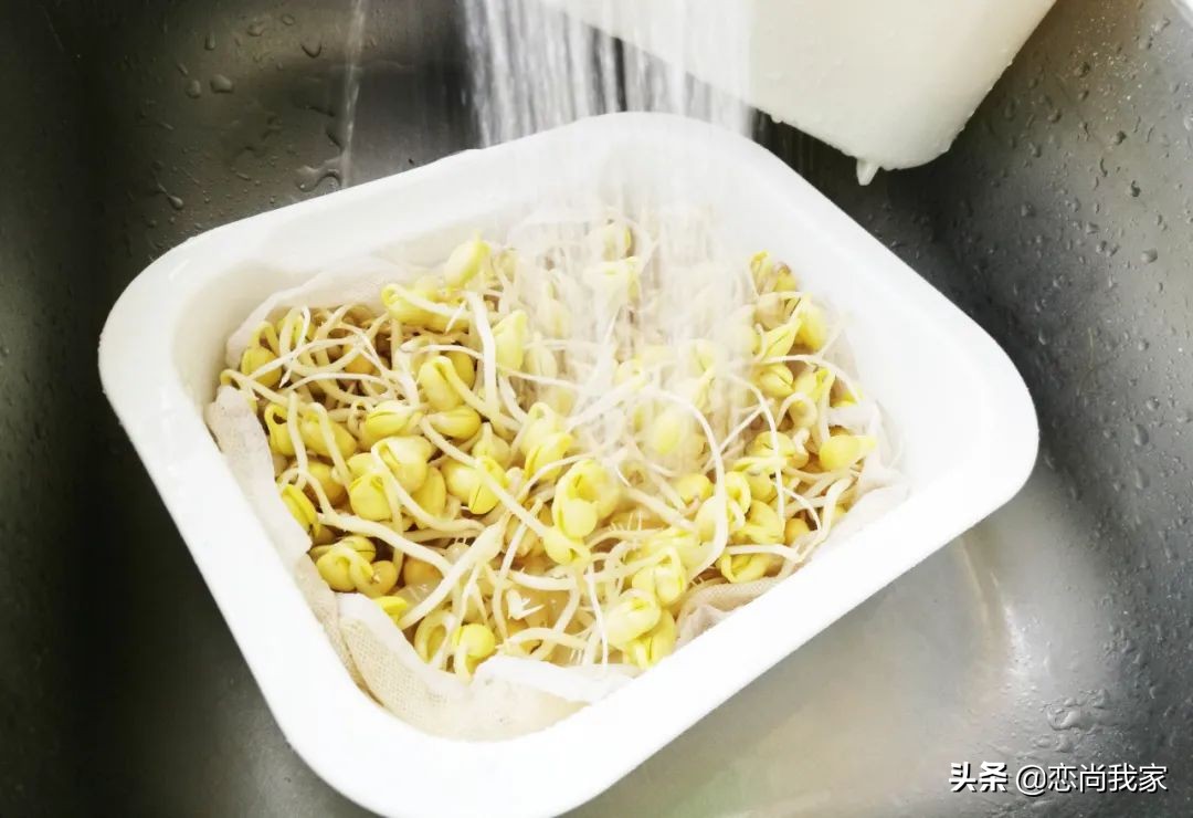 生黄豆芽老是烂豆是什么原因,怎样焯黄豆芽才又鲜又脆