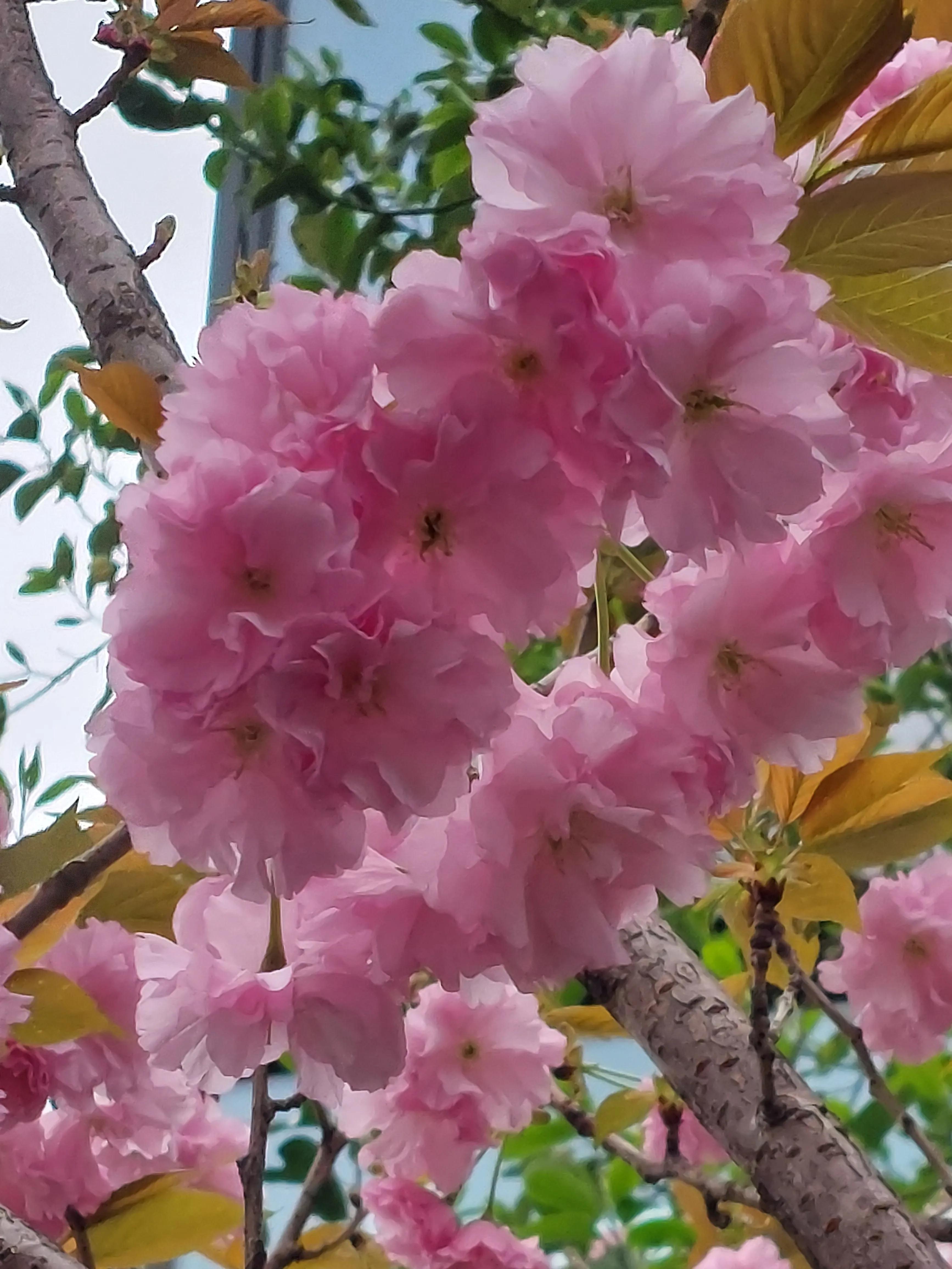 裁员后面试中问到离职原因,会计面试时被问到离职原因