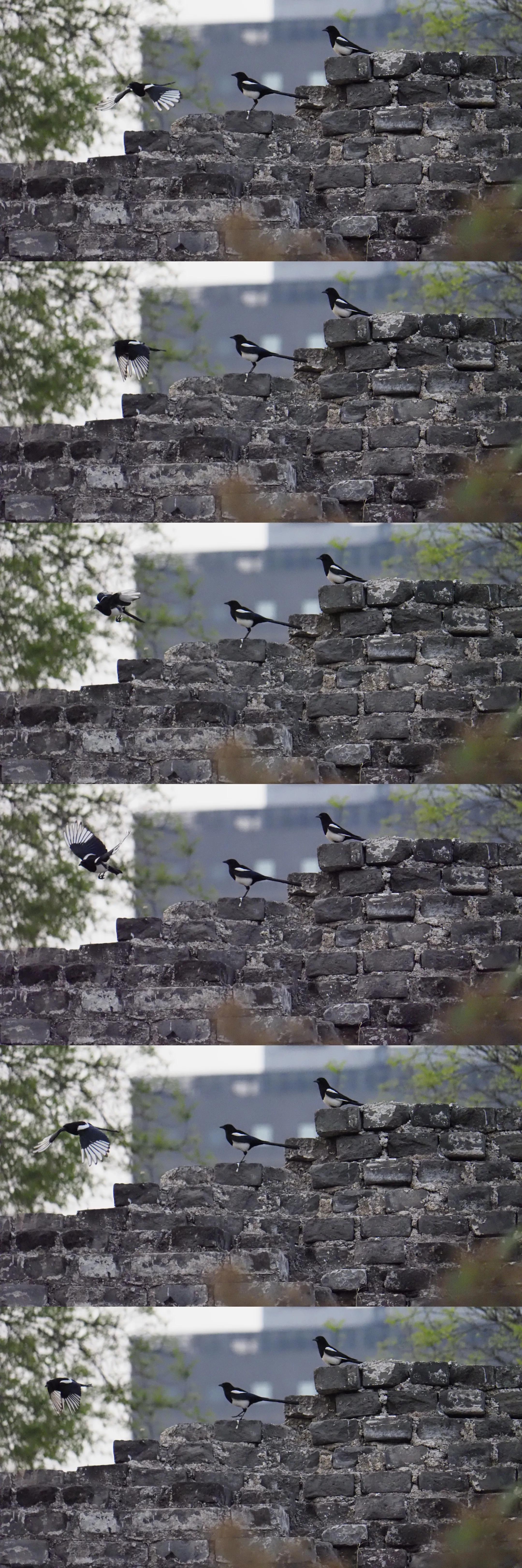 带防抖的长焦镜头500块,防抖长焦镜头推荐500元以下