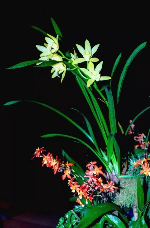 珍惜生命珍惜当下珍惜彼此,活在当下珍惜生命人生感悟