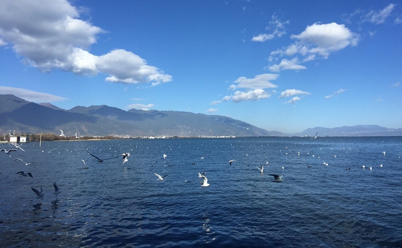 昆明旅游必去十大景点有哪些,昆明市区必玩旅游景点排名前十