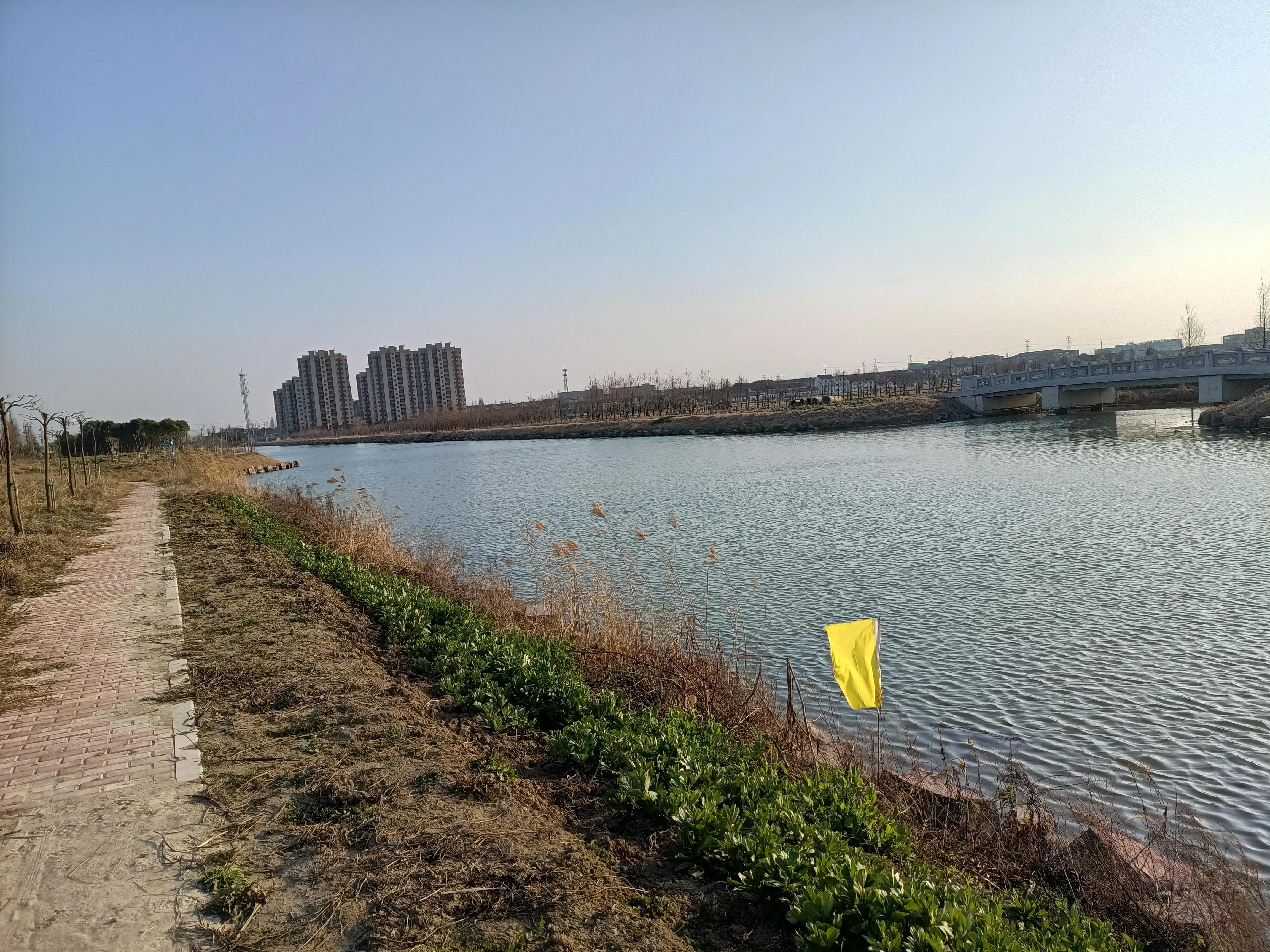 奉贤区未来的发展趋势,奉贤未来的发展规划