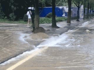 神回复的含义是什么,神回复的语句