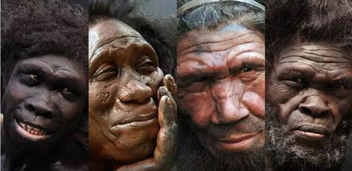 人类的稀有基因有哪些特点,人类隐藏了最稀少的基因