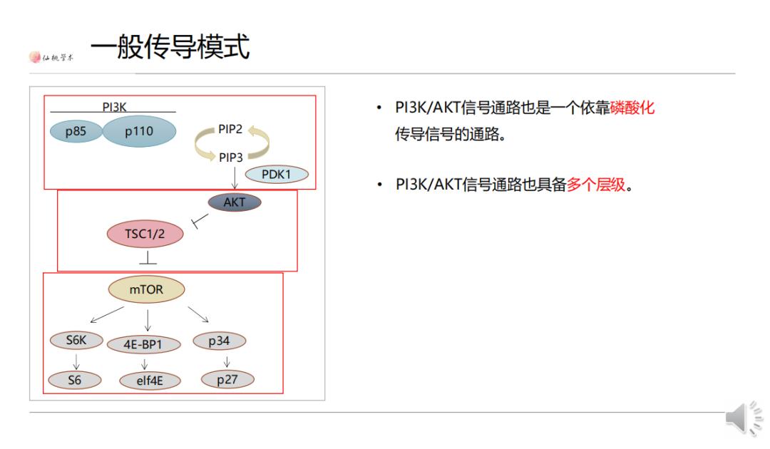 信号通路差异分析,常见的信号通路