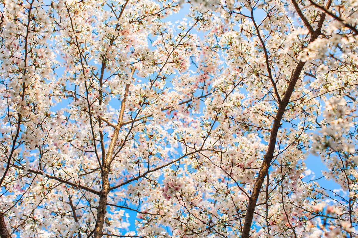 40种改变自己生活方法,改变自己的30个小习惯