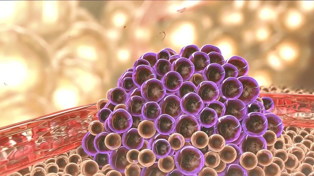 狗狗肿瘤的症状和治疗方法,狗狗口腔肿瘤什么症状