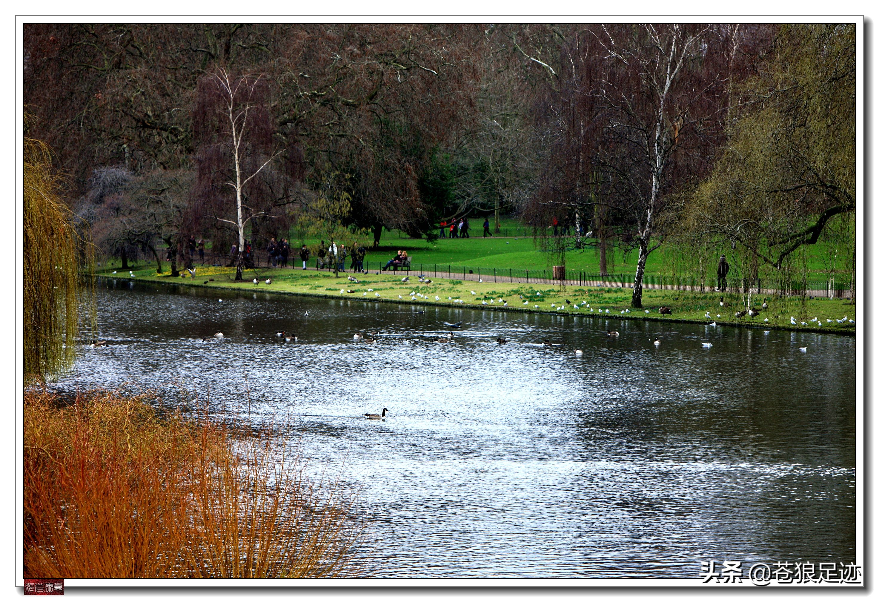 英国海德公园全景,英国皇家园林海德公园