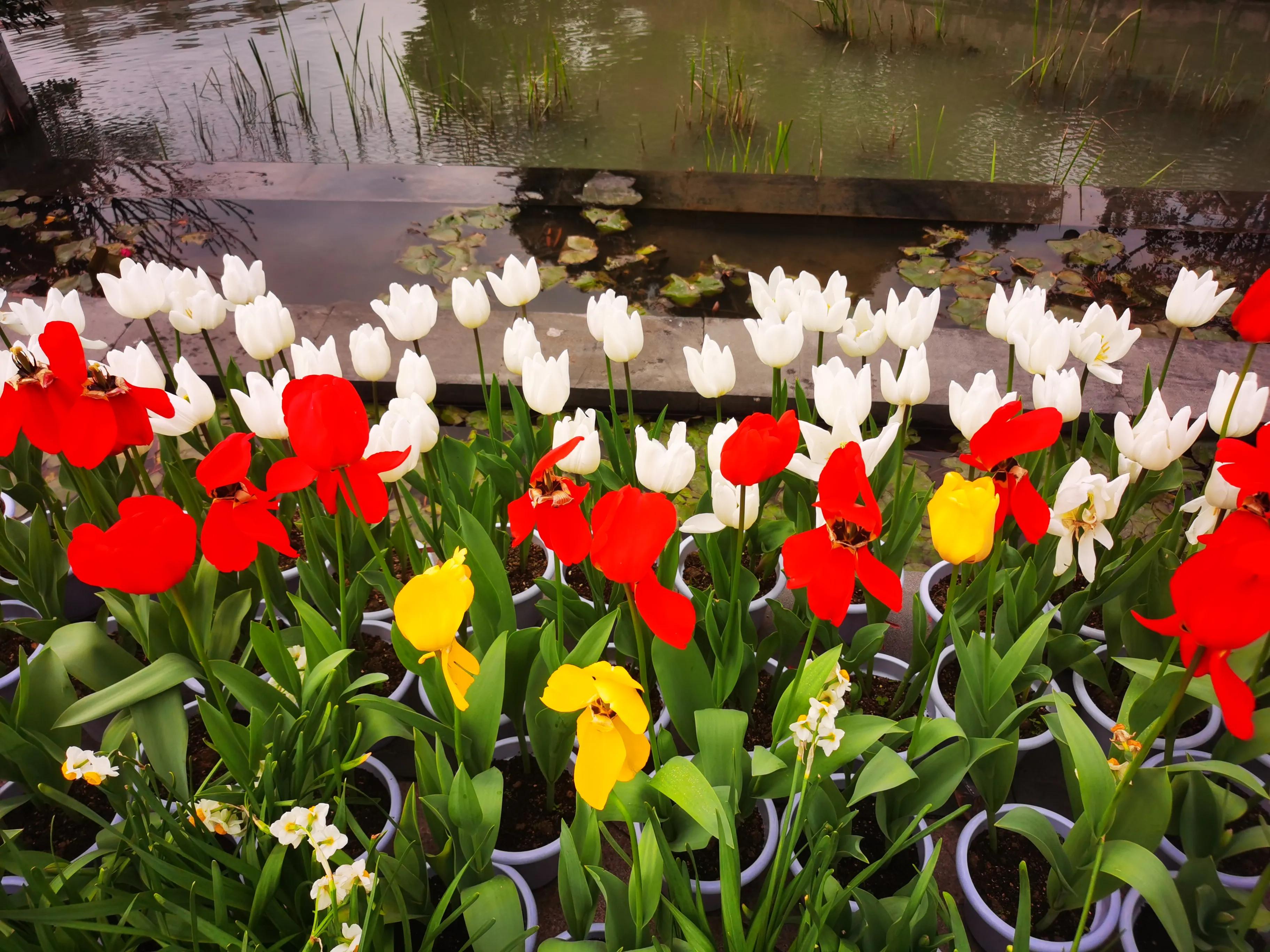 漫步在温泉河湿地公园,漫步福州静谧与繁华