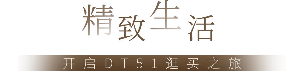北京dt51商场,北京大屯dt51商场开业时间