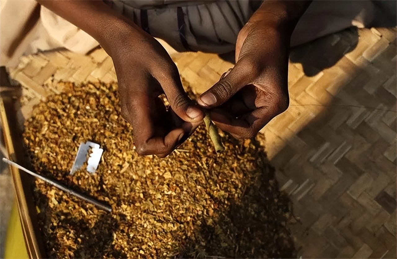 草烟的危害大还是纸烟危害大,草烟坏处