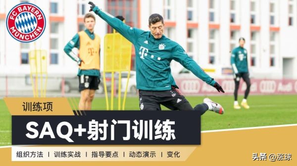 足球教练培训书,足球教练训练书